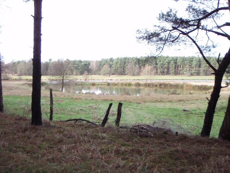 CTF Celle 130